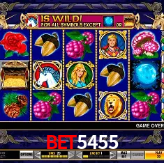 bet5455 Rio de Janeiro - Professional Dealers